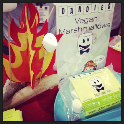 I think Dandies are probably the best marshmallows I have ever had. In fact, they are simply... darn, I wish I could come up with an adjective!